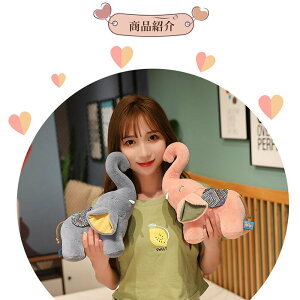 ʂ ]E   킢 ₵ TvCY  v[g Mtg NX}X a ̓ ̓ CeA u  Ԃ q ǂ 55cm