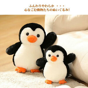 ʂ yM A   GG Gӂӂ 킢 Cm  u CeA v[g a q Mtg 50cm