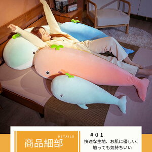 ʂ NW  ~  _炩  ӂӂ   ӂӂ j v[g Mtg G 100cm