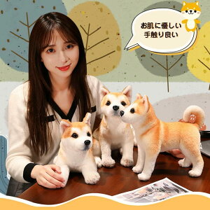 ʂ  Hc   A 킢 G  q ޏ   v[g Mtg 蕨 j a LO 30CM