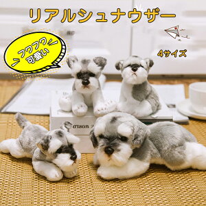 ViEU[ʂ   Ck l`  A ybg 킢@ʂ݁@~j \tg V~[V@q̂߂̂킢 A ObY q a j