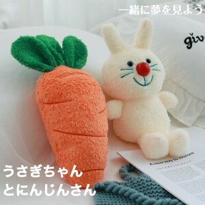 炩 ̂ʂ rbg n c q l ETM R 킢 a v[g j ւ̂J