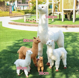 ʂ Ђ ApJ A  ʂ  킢 ӂӂ j CeAG v[g X 38cm 60cm 80cm