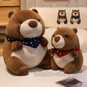 }[bg ʂ A  ʂ XJ[tt 킢  Gӂӂ  q ̎q v[g j/蕨/av[g q  Ce