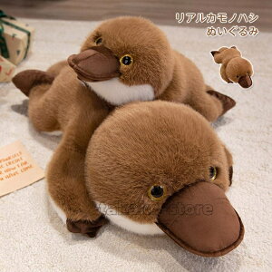 JmnV ʂ ̂͂ A  Aj}  {b O[ platypus plush 55cm 80cm