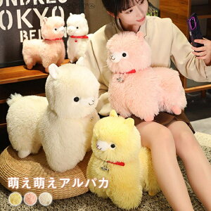 qcŴʂ ApJʂ r Ђ D  ӂӂ qlEޏ v[g K^蕨 p 45cm