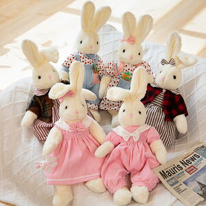 ʂ  s[X RX`[ { 킢 lC ETM 48cm