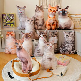 リアル 猫ぬいぐるみ クッション 抱き枕 メインクーン シャムネコ ブリティッシュショートヘア アメリカンショートヘア 45cm 送料無料