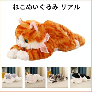 ʂ L A ӂӂ lR TCY30X15CM(S),40X11CM(M)