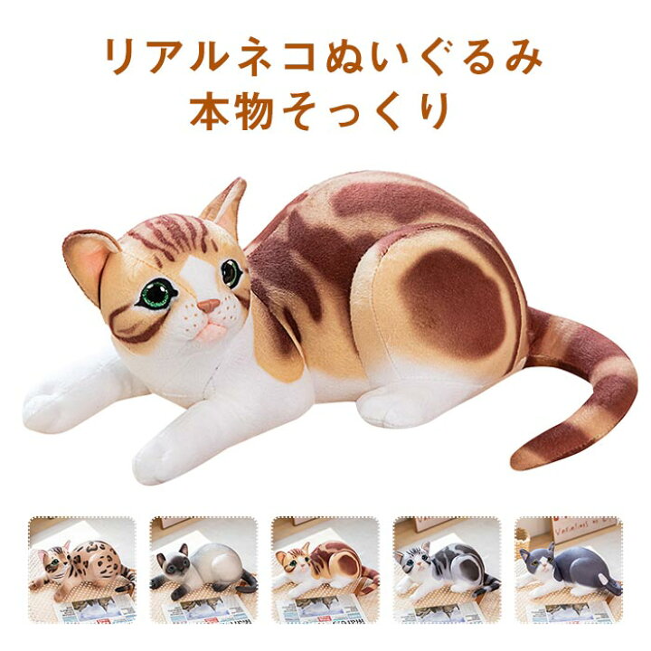 楽天市場】猫 ぬいぐるみ リアル ねこ 本物そっくり ネコ 子ども 