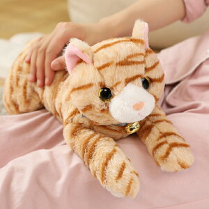 ʂ L ˂ L   킢 q ޏ  v[g Mtg 蕨 j a LO 45CM