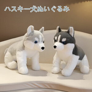 ʂ    nXL[ ӂӂ NbV n ʂ CeA X NX}X v[g 40/50cm