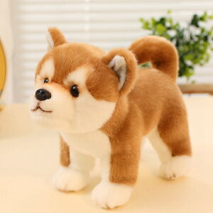 Č ʂ A Ό  Vo  Shiba Inu 25cm 35cm