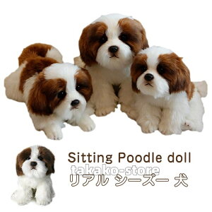 ʂ  V[Y[  A  gCv[h ObY   Aj}   킢 Gӂӂ  u X FB q NX}X v[g a 