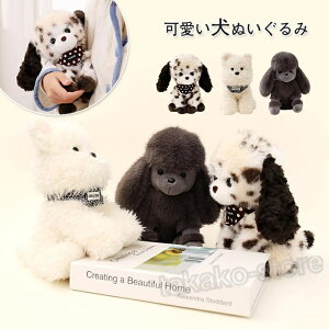  ʂ A gCv[h EGXgEnChEzCgEeA Ck ObY G ̂ Mtg j a v[g NX}X