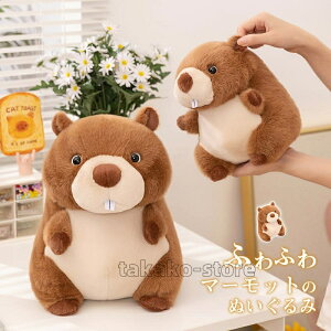 }[bgʂ A  ʂ  ӂ   ɗD 킢  LbY q ̎q j̎q j 蕨 a v[g NX}XM