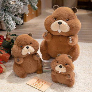 }[bg ʂ ӂ SNSőlC̃}[bg 22cm 35cm 45cm Marmota