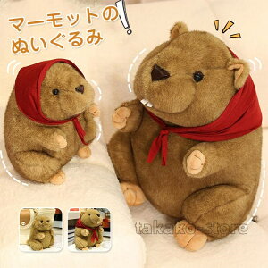 }[bg ʂ A  ʂ XJ[tt 킢  Gӂӂ  q ̎q v[g j/蕨/av[g q  Ce