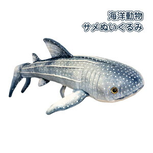 T ʂ Cm L WxGU V[N TJi  A    q   ӂӂ CeA NX}X v[g Mtg j 蕨 60cm