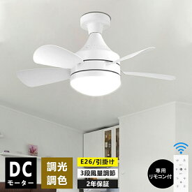 シーリングファンライト リモコン付き 天井 シーリングライト ファン DCモーター LEDシーリングライト 薄型 シーリングファン ファン付 LED電球 天井照明 北欧 扇風機 おしゃれ リビング 軽量 小型 静か 調光調色 E26 6畳 引っ掛け 脱衣所 洗面所