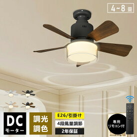 シーリングファンライト リモコン付き 天井 シーリングライト ファン DCモーター LEDシーリングライト 薄型 シーリングファン ファン付 LED電球 天井照明 北欧 扇風機 おしゃれ リビング 軽量 小型 静か 調光調色 E26 6畳