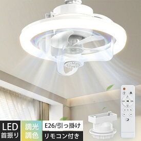 ＼ 先着100名限定★15%OFFクーポン／【静音&節電対策】シーリングファン 首振り 小型 シーリングファンライト LEDライト LED サーキュレーター おしゃれ 天井ライト 扇風機 静音 照明 ファン付き 10畳 天井 調光調色 引っ掛け E26 ソケット DCモーター リモコン付き