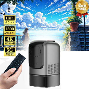 vWFN^[ V䓊e 4K 1080P ƒp V Lk DVD WiFi Bluetooth X}z iPhone android RpNg y oCvWFN^[ 2025