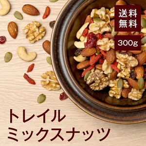 gC~bNX 300gyzA[h  JV[ibc [Y Nx[ NR̎ ڂ̎  HY C΍ AEghA lq wV[ Ɂ 