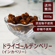 ドライゴールデンベリー(インカベリー)【添加物不使用・砂糖不使用】800g【送料無料】ペルー産 食用ほお…