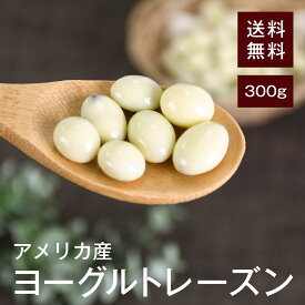 ヨーグルトレーズン 300g【送料無料】アメリカ産 冬季だけの限定販売商品★ 甘酸っぱくて美味しい★ 鉄分やカリウム、カルシウムといったミネラルがバランス良く摂取できる★ おやつやおつまみに◎ チャック付き