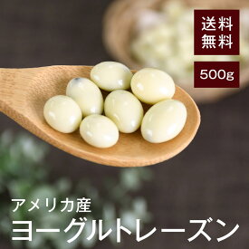 ヨーグルトレーズン 500g【送料無料】アメリカ産 冬季だけの限定販売商品★ 甘酸っぱくて美味しい★ 鉄分やカリウム、カルシウムといったミネラルがバランス良く摂取できる★ 美容と健康をサポート★ おやつやおつまみに◎ チャック付き