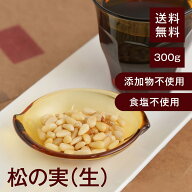 松の実（生）【添加物不使用・食塩不使用】300g【送料無料】塩なし 湿気対策◎ ほんのり甘くしっとりした…