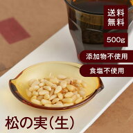 松の実（生）【添加物不使用・食塩不使用】500g【送料無料】塩なし 湿気対策◎ ほんのり甘くしっとりした…