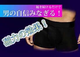 3枚セット 増大パンツ メンズ 下着 ボクサーパンツ メンズパンツ 男性用下着 機能性下着 男性 プレゼント シニア 活力 肉体改造 増大下着 メンズボクサーパンツ