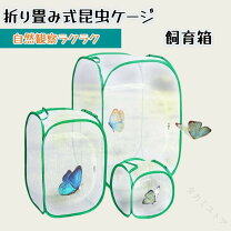 楽天市場】折りたたみ式虫かごの通販