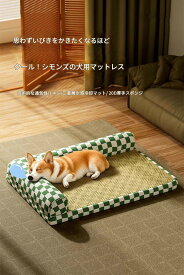 ペットベッド 介護用ベッド 滑り止め付 犬用ベッド 猫 あご乗せ オールシーズン 床ずれ パピー 成犬 L字型 体圧分散 寝たきり カウチ シニア 低床 噛み癖 丈夫 洗える ドッグベッド 送料