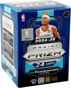 2024-25 Panini PRIZM NBA Basketball Trading Card Blaster Box pj[j vY oXPbg{[ g[fBOJ[h uX^[{bNX