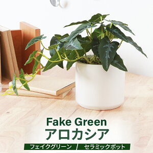 フェイクグリーン アロカシア セラミックポット グリーンライフ 室内ガーデン 観葉植物 人工植物 水やり不要 手入れ簡単 リラックス空間 置き型タイプ
