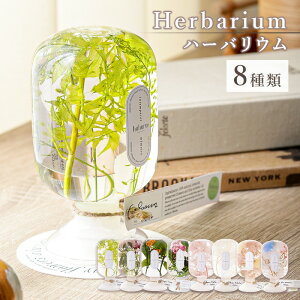 n[oE vgIuWF CeAt[ KXr vU[uht[ hCt[ LED R[X^[Cg Ɩ v[g a Mtg