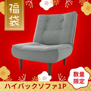 ���� 2026 �\�t�@ 1�l�|�� �n�C�o�b�N ���N���C�j���O �\�t�@ ���{�� �r���I�ׂ� A327