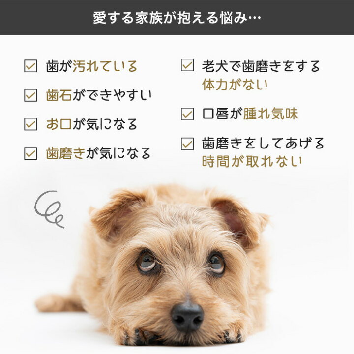楽天市場 3個セット 歯みがき スプレー 犬 ペット 口臭 歯石 歯垢 口腔 歯周病 予防 デンタルケア 歯磨き 国産 日本製 50ml 高光製薬