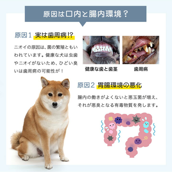 楽天市場 歯みがき スプレー 犬 ペット 口臭 歯石 歯垢 口腔 歯周病 予防 デンタルケア 歯磨き 国産 日本製 50ml 高光製薬