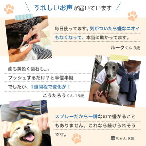 楽天市場 3個セット 歯みがき スプレー 犬 ペット 口臭 歯石 歯垢 口腔 歯周病 予防 デンタルケア 歯磨き 国産 日本製 50ml 約4カ月分 高光製薬