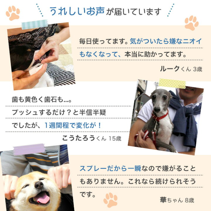 楽天市場 歯みがき スプレー 犬 ペット 口臭 歯石 歯垢 口腔 歯周病 予防 デンタルケア 歯磨き 国産 日本製 50ml 高光製薬