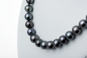 lbNX @󏭕i@m{^ @8.1`10.7