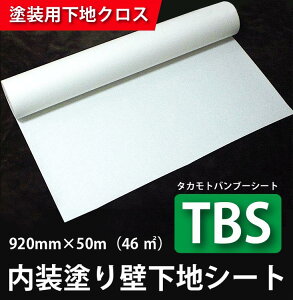 hłhǉnV[g TBSi^Jgou[V[gjǎNX@ TCYF920mm×50mi46/1{j