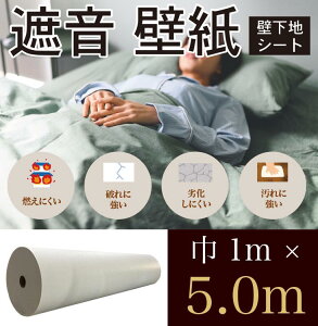 hłhV[gEՉV[g ǎiOXt@Co[t[Xj TGLASSieBOXj AR[XeBbNi1m×5.0mJbgjǉn