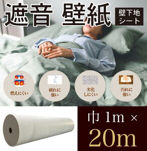 hłhV[gEՉV[g ǎiOXt@Co[t[Xj TGLASSieBOXj AR[XeBbNi1m×20mJbgjǉn