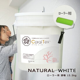 【送料無料】ローラー用 西洋 漆喰【Coral Tex コーラルテックス】16kg　ナチュラルホワイト（010）塗り壁