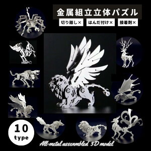 ^pY XeX  ^ pY 3D ̖͌^ ̃pY 3DpY ɂԂ ͌^ gݗ g H ]g Lbg l v[g Mtg T\ giJC CI ̐